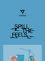 товары SEVENTEEN - SPILL THE FEELS OFFICIAL MD LENTICULAR MINI CARD & CARD HOLDER