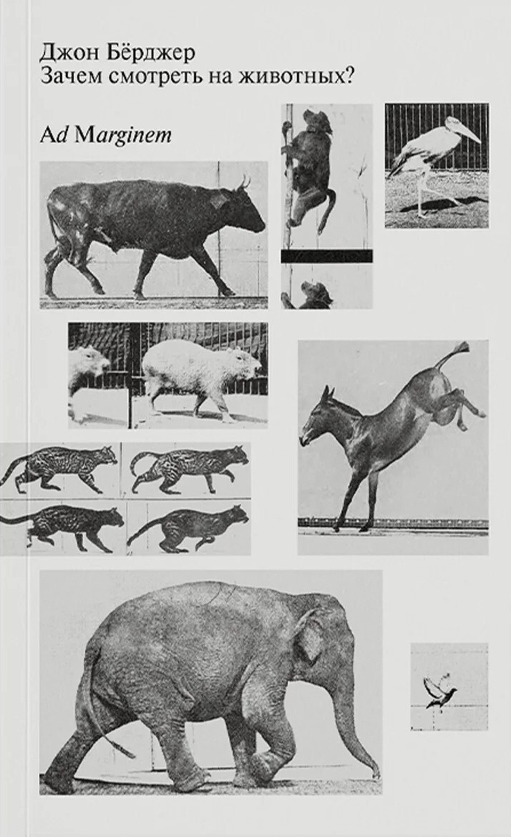 Зачем смотреть на животных?