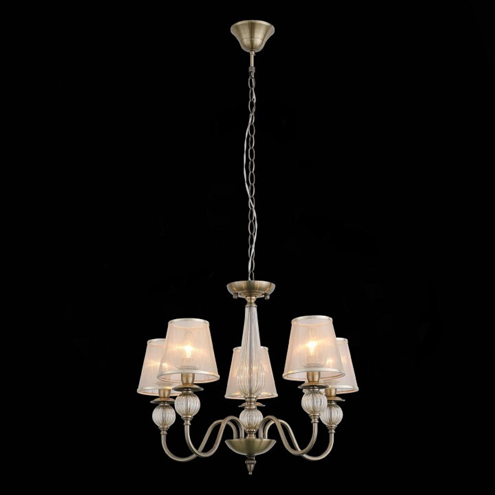 Подвесная люстра EVOLUCE SL185.303.05