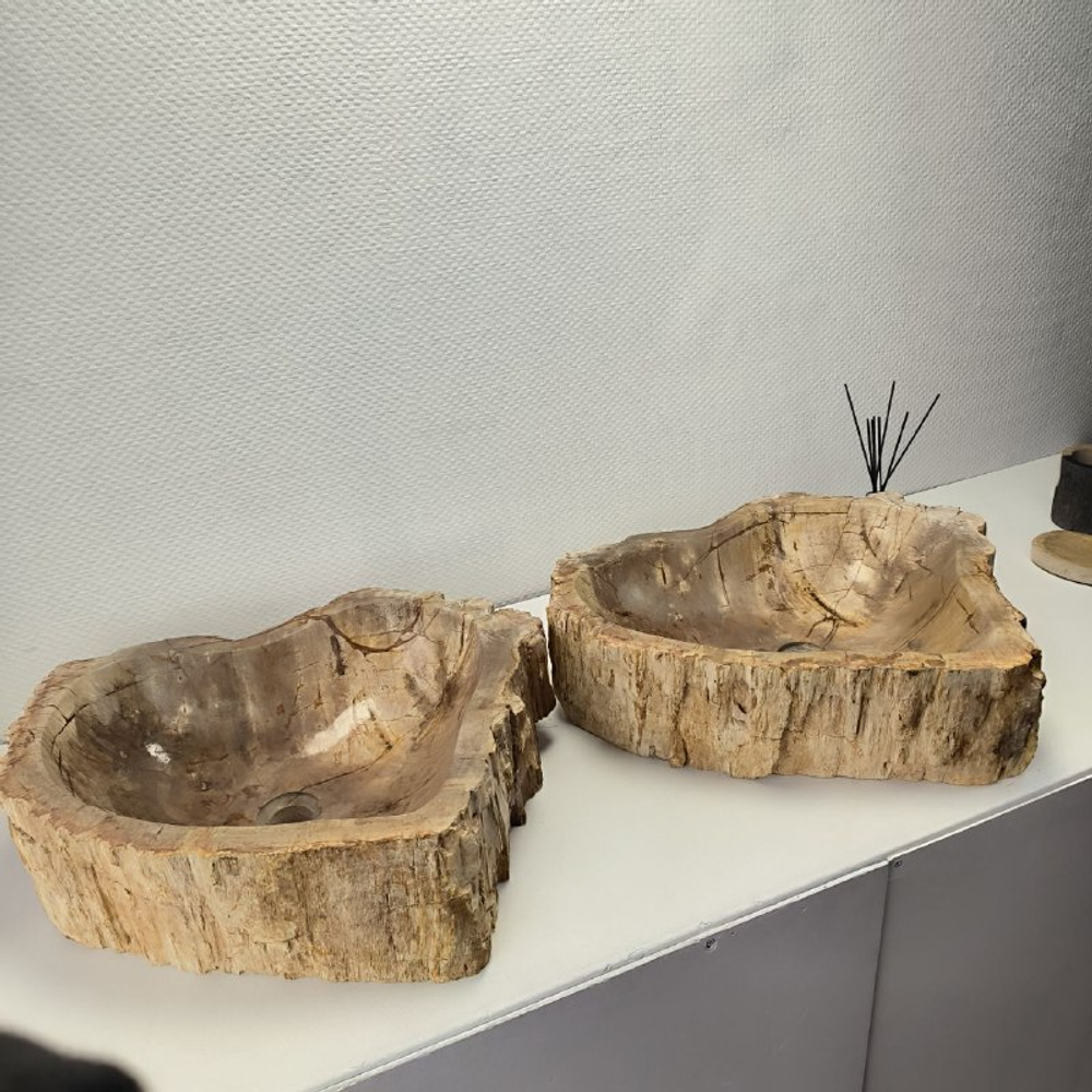 Раковина из окаменелого дерева ПАРА! OD-62096 55*55*15 2шт