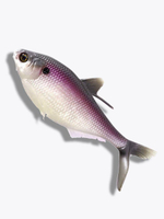 Мягкая приманка B.A.M.F. Shad 8"/ Gold Retriver (1шт./уп.)