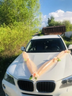 Лента на капот