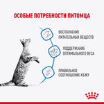 Royal Canin Indoor Sterilized Корм консервированный для взрослых кошек соус 85г