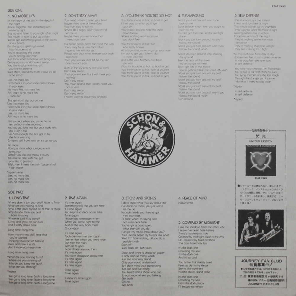 Schon & Hammer / Here To Stay (LP)