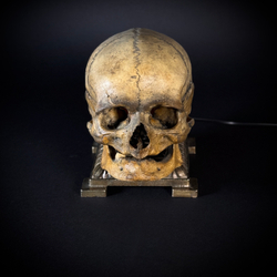 Ночник «Don Lucky»