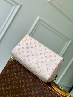 Louis Vuitton Speedy Soft 30