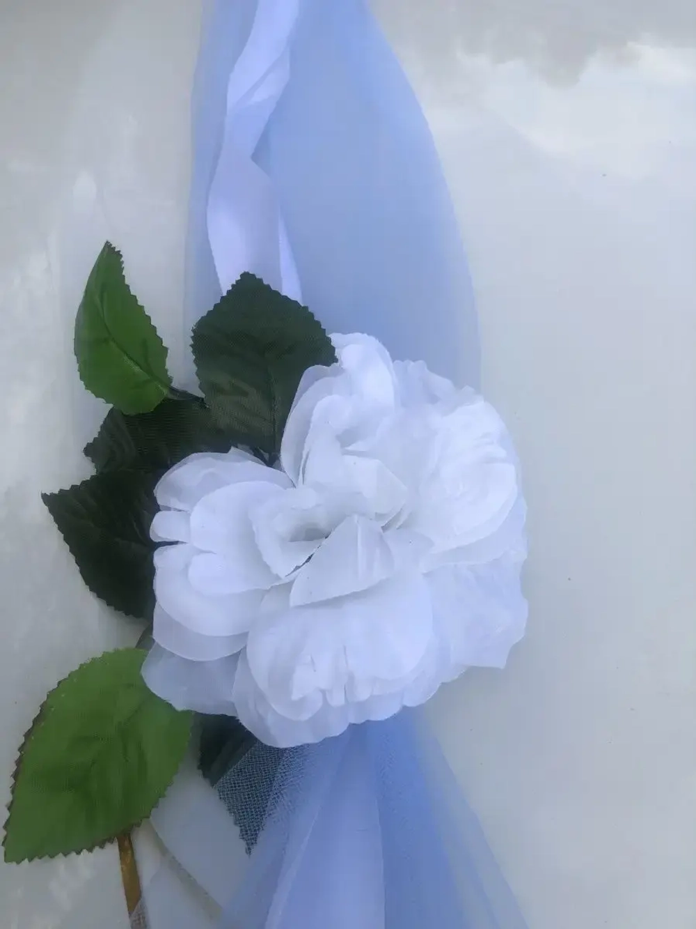 Лента на капот