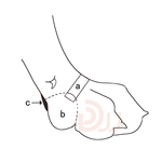 302 SA Ботинки "Эко кожа" осень