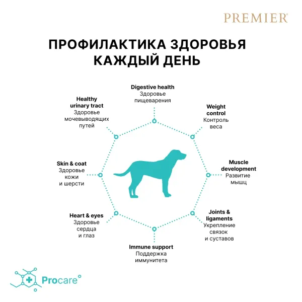Уценка! Повр.упак. / Сухой корм Premier Dog Lamb&Turkey Adult Maxi для собак крупных пород из свежего мяса ягненка с индейкой