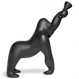 Коллекция Kong