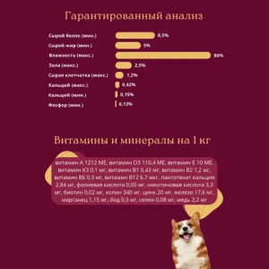 Пауч для взрослых кошек GRANPLUS CAT с лососем