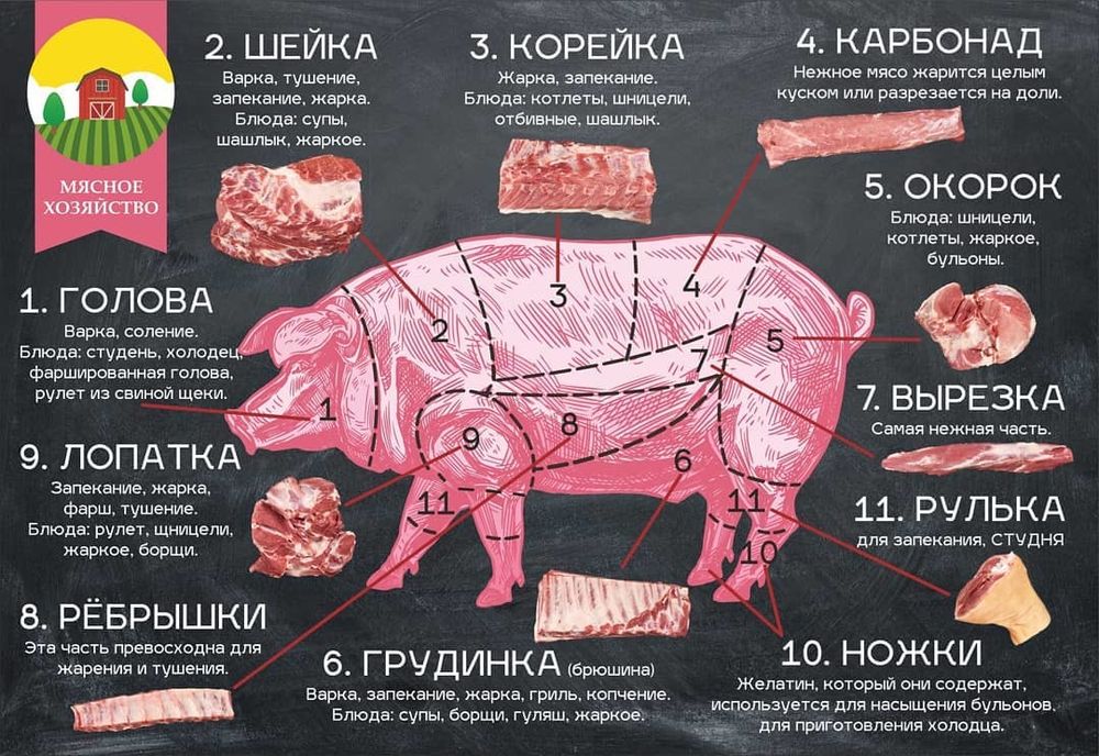 дизайн логотипа, фирменный стиль в Тамбове