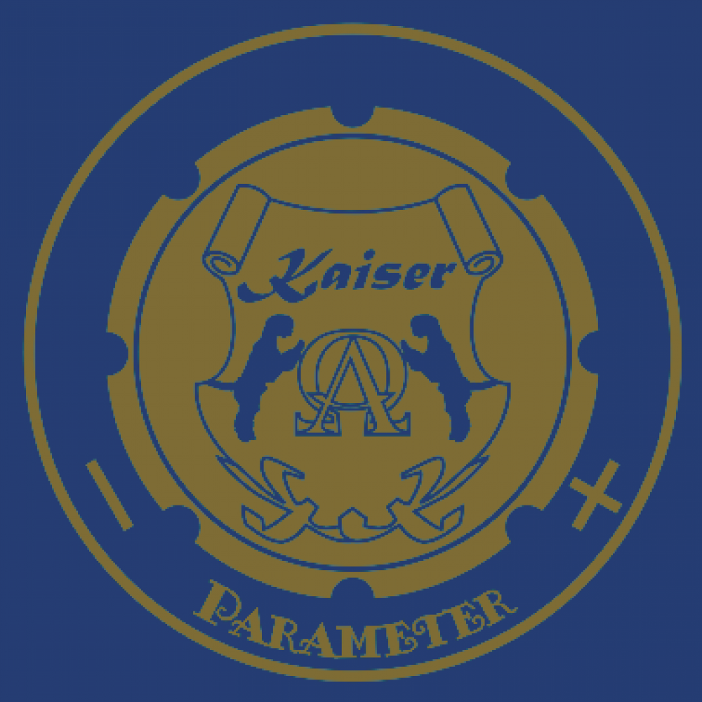 Индукционная варочная поверхность Kaiser KCT 6723 FI BluBE