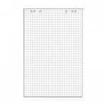 Блок д/флипчарта inФОРМАТ 67,5 х96,5см, клетка 20лист