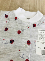 Комбинезон Артикул: 17к (ИП Лахитова И.И.) (Размер: 80)