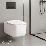 Унитаз подвесной Ceruttispa ТАЦИТО (TACITO) Aria Tornado CT12033 безободковый (525х360х320)