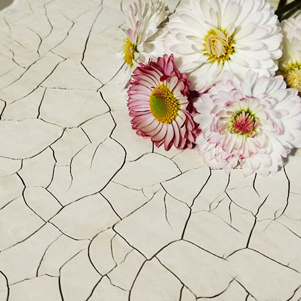 Краска с эффектом трещин «Белая» матовая