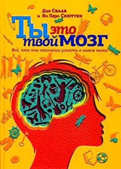 Ты - это твой мозг.Все, что ты захочешь узнать о своем мозге