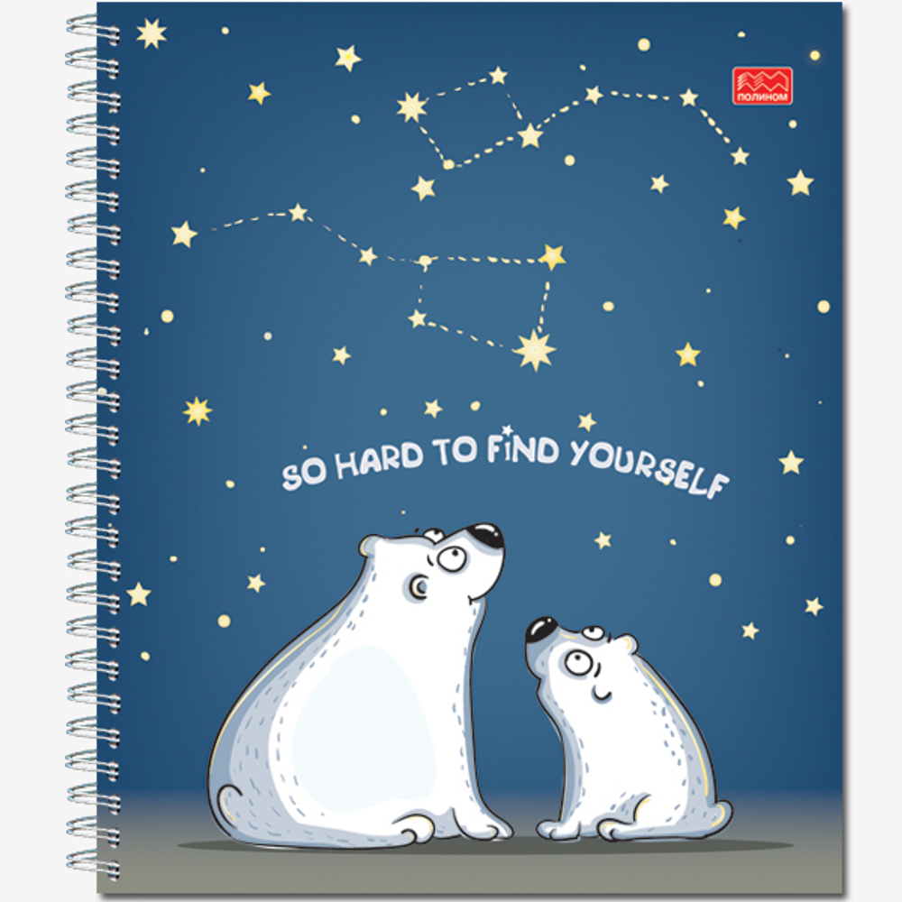 Тетрадь общая 48 листов на металлическом гребне "Чувства"