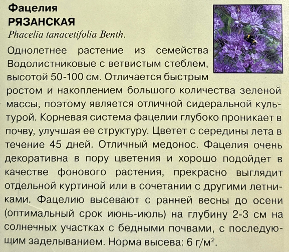 Фацелия Рязанская (сидерат), больш. пак. 20 г СМЦ-539