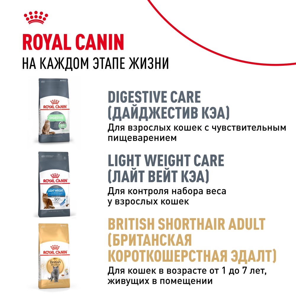 Royal Canin British Shorthair Kitten (БРИТАНСКАЯ КОРОТКОШЕРСТНАЯ КИТТЕН) Корм сухой сбалансированный для британских котят 400г