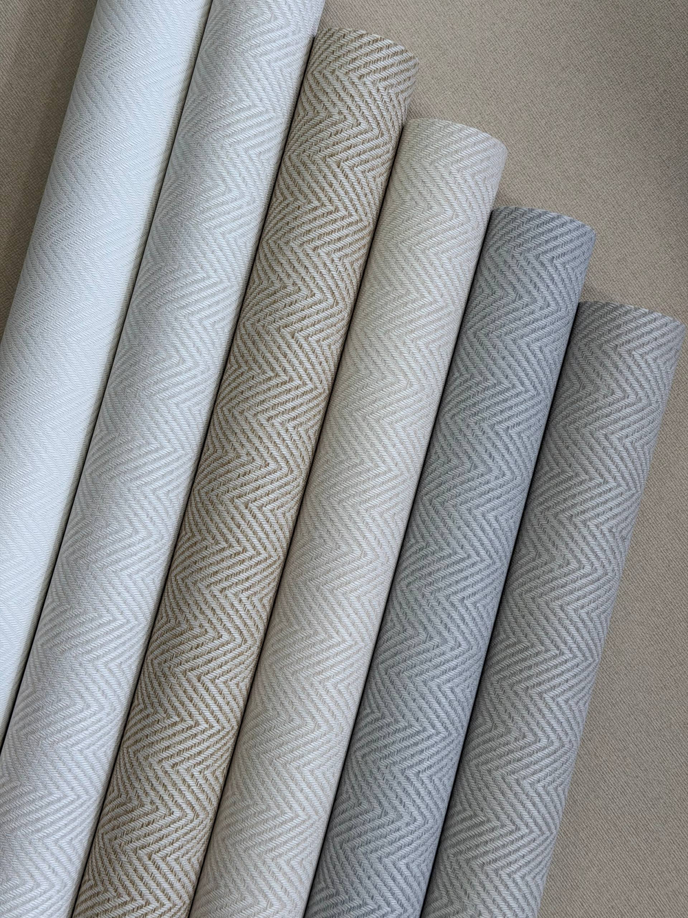 GaENARI 81404-4 REGALIA