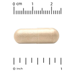 California Gold Nutrition, EuroHerbs™, экстракт листьев оливкового дерева, качество Euromed, 500 мг, 60 растительных капсул