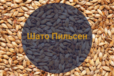 Солод Шато Пильсен (Castle Malting), 1кг
