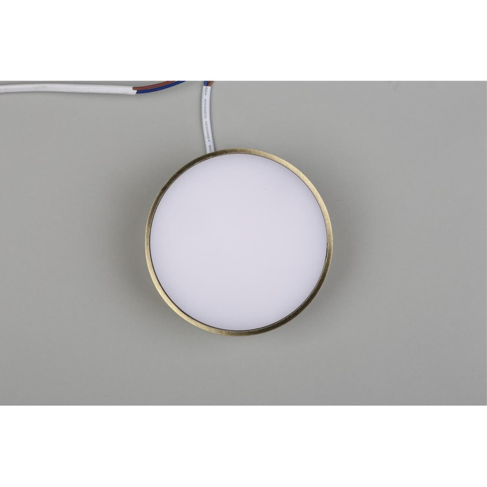 Потолочный светодиодный светильник Aployt Evon APL.0114.29.12