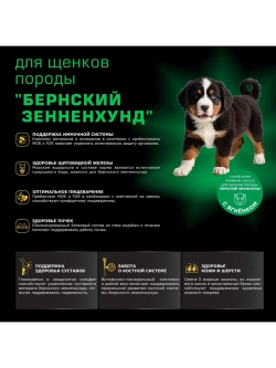 Корм для щенков породы Бернский зенненхунд, с ягненком 12 кг