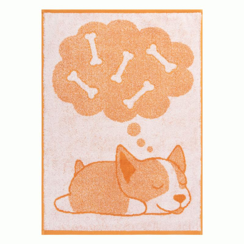 Корги