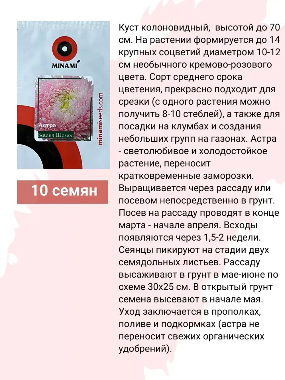 Астра пионовидная Башня Шамоа семена 10шт