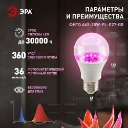 Фитолампа для растений светодиодная ЭРА GREEN LINE ФИТО A65-20W-PL-E27-GR розового свечения 20 Вт | Фитолампы Е27