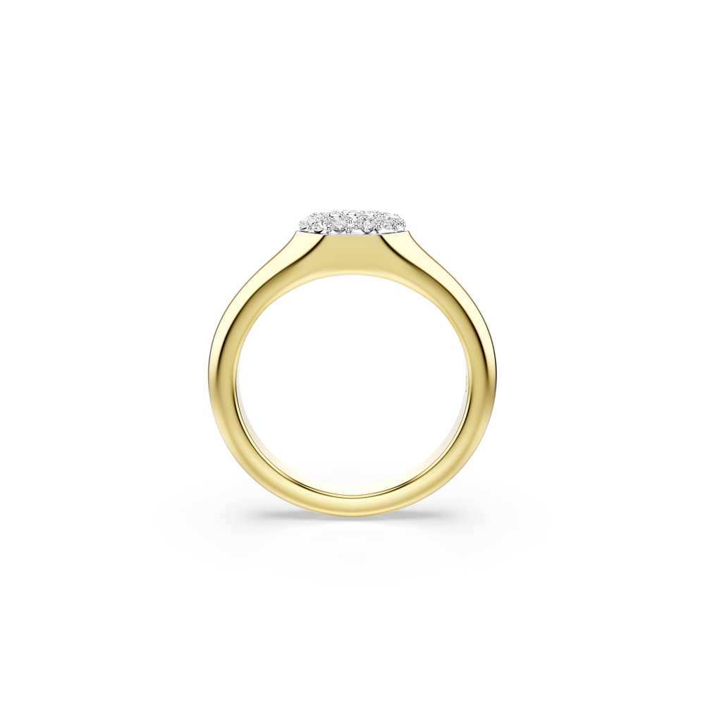 DEXTERA:RING MIDI CRE/GOS 60