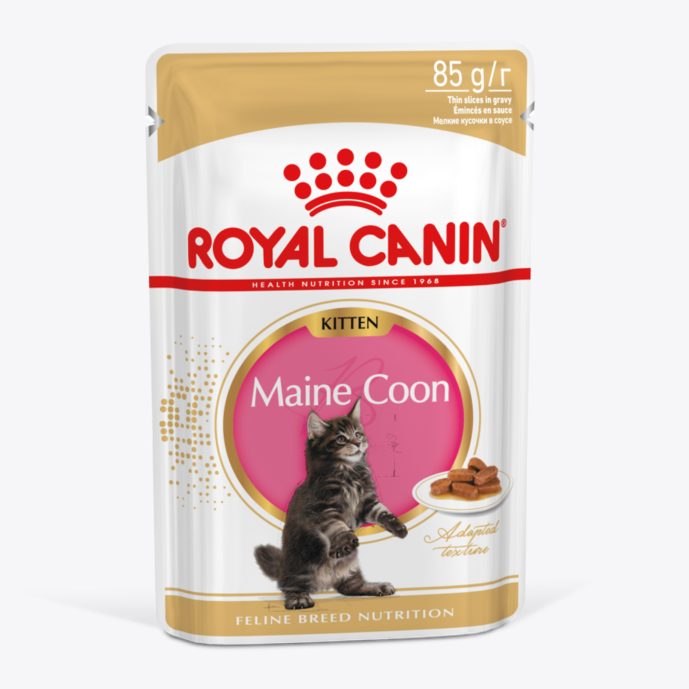 Пауч Royal Canin Maine Coon Kitten для котят породы Мэйн Кун в возрасте до 15 месяцев, мелкие кусочки в соусе Пауч Royal Canin Maine Coon Kitten для котят породы Мэйн Кун в возрасте до 15 месяцев, мелкие кусочки в соусе