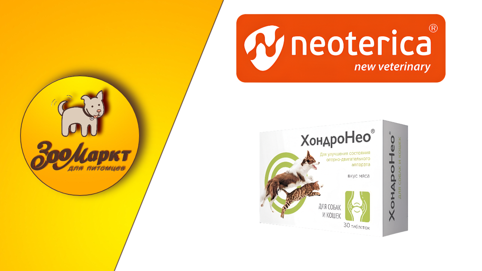 Акция препарат ХондроНео