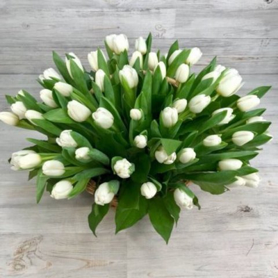 Корзина из 101 белого тюльпана