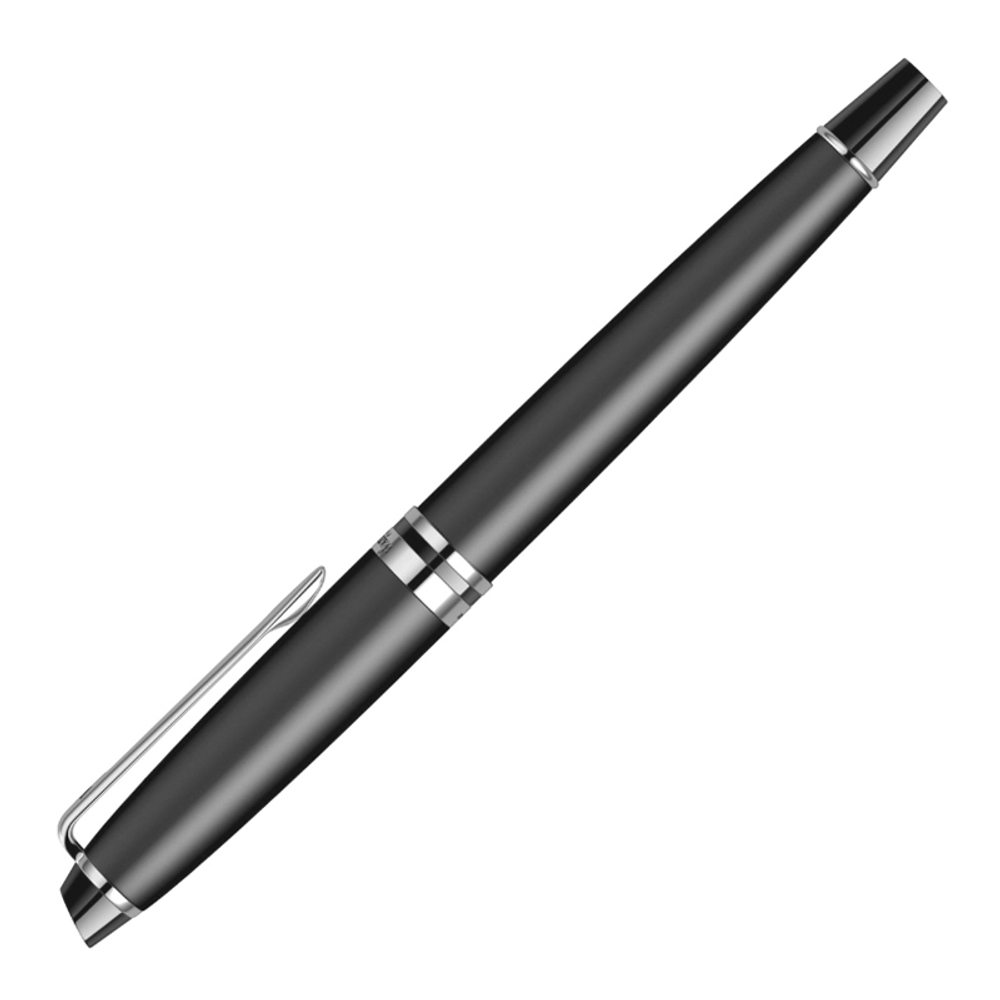 Ручка перьевая - Waterman Expert F