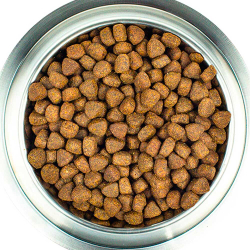 Core (беззерновой) корм для собак крупных пород с курицей (Adult Original Large Breed)