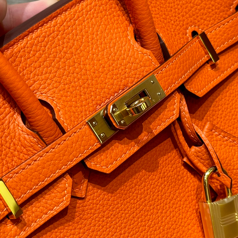 Hermes Birkin 25