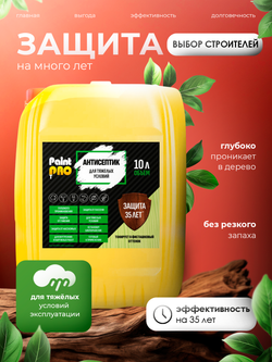 Антисептик для тяжелых условий PaintPRO 10л