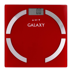 Весы-анализаторы многофункциональные Galaxy GL4851