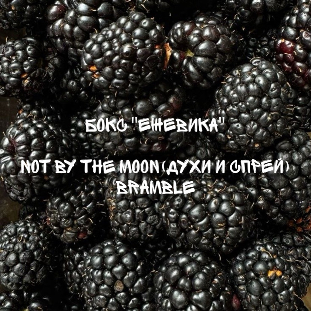 Бокс "ежевика"