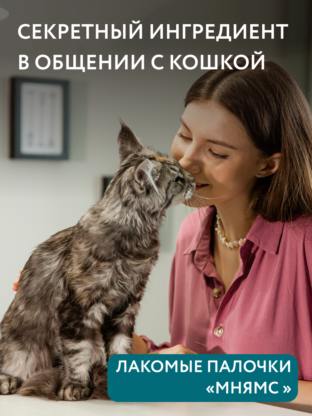 Лакомство Мнямс лакомые палочки для стерилизованных кошек из индейки и цыпленка 10х5 г