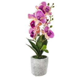 GAEM Цветочная композиция "Орхидея", L16 W16 H45 см