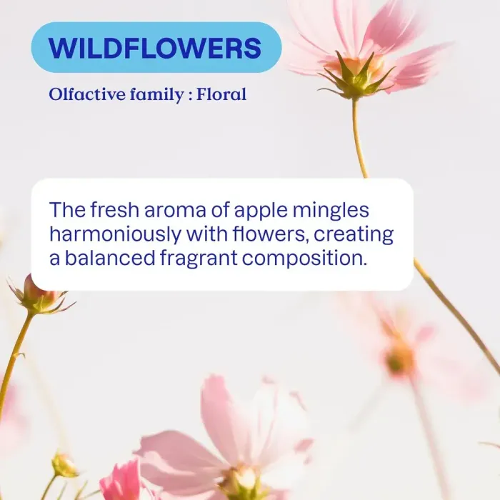 ATTITUDE Средство для мытья посуды «Wildflowers» 700 мл.