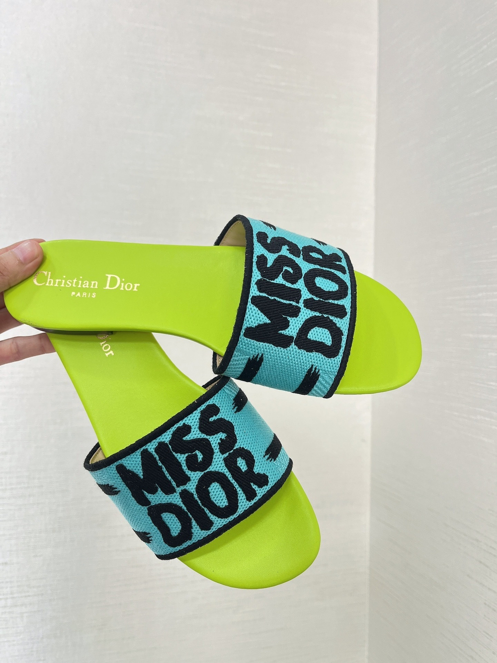 Christian Dior Dway Slide (11 colors)