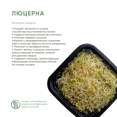 Проростки люцерны "Зелень шмелень", 100 г