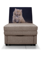 Кресло-кровать малогабаритное Экономик, велюр Rich Beige, купон Котенок сидит