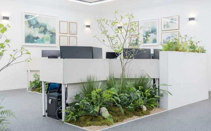 Комплексные композиции - камни и растения